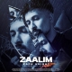 Zaalim - Zack Knight
