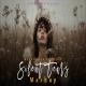 Silent Tears Heartbreak Mashup 2026 Vdj Shana
