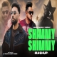 Shimmy Shimmy Ya (Headliner) Mashup by  Sunny Hassan