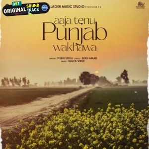 Aaja Tenu Punjab Wakhawa - Tejbir Sidhu