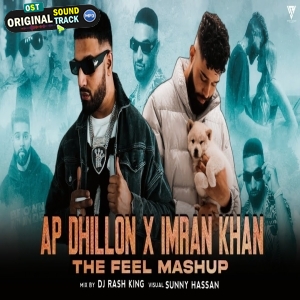 Ap Dhillon X Imran Khan Feel Mashup by Sunny Hassan