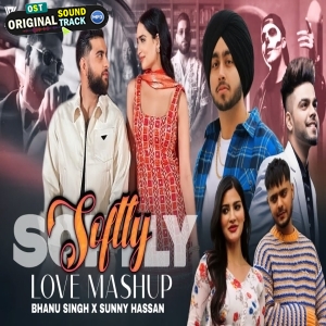 Softly Love Punjabi Mashup 320kbps