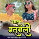 Chaal Matwali