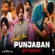 Feel The Punjaban Mashup 2026 Sunny Hassan