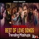 Best Love Songs Hindi 2026 Trending Mashup VDJ Royal