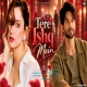 Tere Ishq Mein