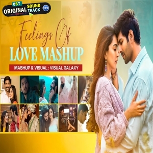 Feelings of love nonstop Mashup 2023 Visual Galaxy