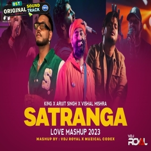 Satranga Song Mashup 2023 Muzical Codex x VDj Royal