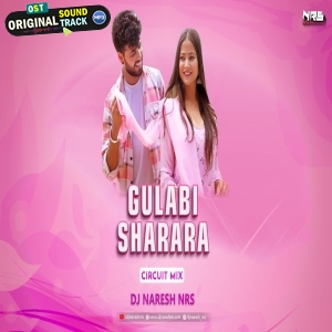 Gulabi Sharara - Circuit Mix - Thumak Thumak - DJ NARESH NRS