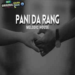 Pani Da Rang - Remix - Melodic House - Debb