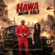 Hawa Mein Asle