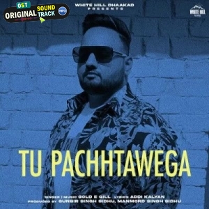 Tu Pachhtawega - Gold E Gill