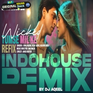 Tumse Mil Ke Refix Indohouse Remix - Dj Aqeel