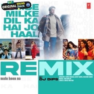 Tumse Milke Dil Ka Hai Jo Haal Remix - Dj Dips