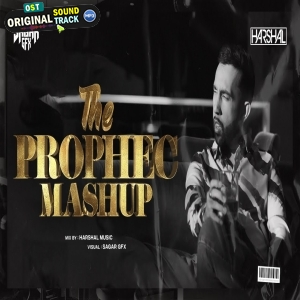 The Prophec Punjabi Mashup 2024 by Dj Harshal