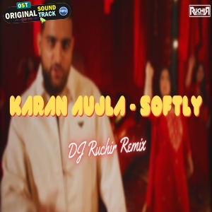 Softly Remix Dj Ruchir 2024 Mashup