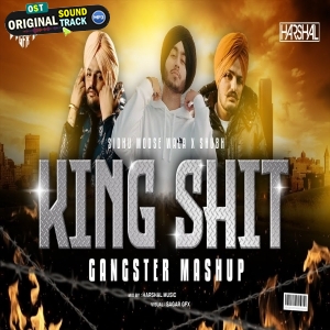 Kingh Shit Gangster Mashup - Dj Harshal
