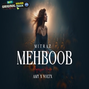 Mehboob Ft. MITRAZ Progressive House Remix by DJ AMY