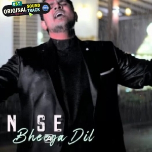 Aansuon Se Bheega Dil