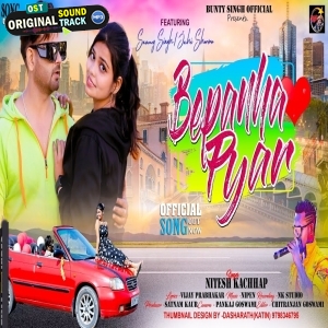 Beqarar hai Dil Tore Le (Bepanha Pyar Hai) - Nitesh Kachhap