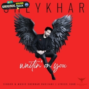 Ishq Mehfooz (Waiting On You) - Shekhar Ravjiani