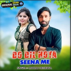 Do Dil Hota Seena