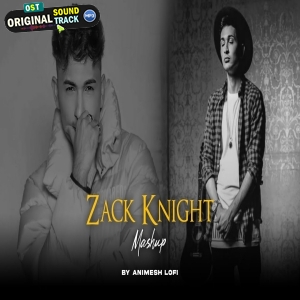 Zack Knight Lofi Heartbreak Chillout 2024 Mashup by Animesh