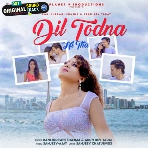 Dil Todna Hi Tha To Dil Se Lagaya Kyun