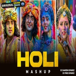 Holi Mashup 2024 Remix by SparkZ Brothers