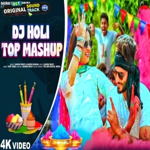 DJ Holi Haryanav Remix dj 2024