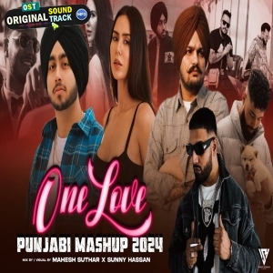 One Love Punjabi Mashup 2024 by Sunny Hassan