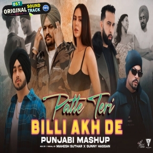 Patte Teri Billi Akh De Punjabi Mashup 2024 bu Sunny Hassan