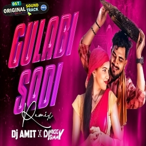Gulabi Sadi Tapori Mix DJ Vaggy