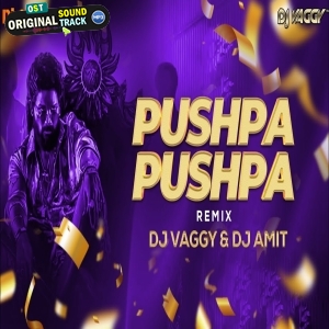 Pushpa Pushpa Circuit Remix DJ Vaggy x Amit