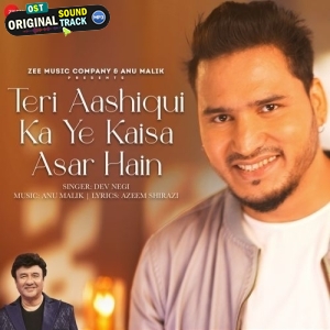 Teri Aashiqui Ka Ye Kaisa Asar Hain