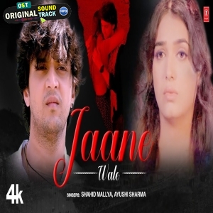 Jaane Wale - Shahid Mallya