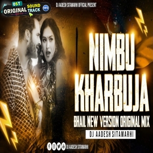 Nimbu Kharbuja Bhail 2 Remix by Dj Aadesh