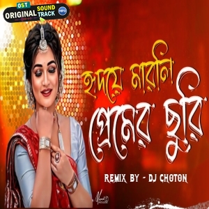 Hridoye Marli Premer Churi Re Dj Hot Dance Remix DJ Choton