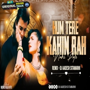 Hum Tere Bin Kahin Remix - Dj Aadesh