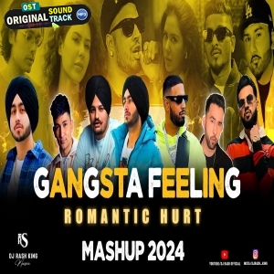 Gangsta Feelings Mashup 2024 by Rash King