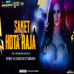 Saket Hota Raja Ji Remix Dj Aadesh Sitamarhi
