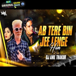 Ab Tere Bin Jee Lenge Hum Remix Dj Anil Thakur