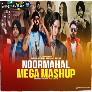 Noormahal Mega Mashup 2024 - Vivek Official