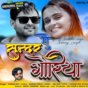 Ae Re Sunder Goriya - Pawan Roy