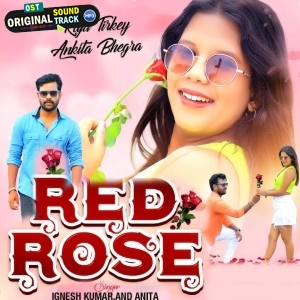 Diya Tumne Red Rose - Ignesh