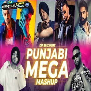 Punjabi Mega Mashup Dip SR X Pritz Sukhen