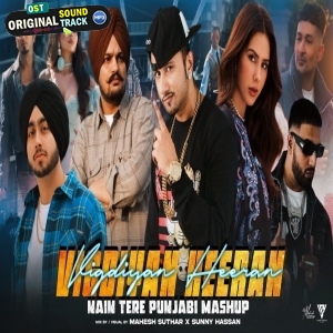 Vigdiyan Heeran X Nain Tere Punjabi Mashup by Sunny Hassan