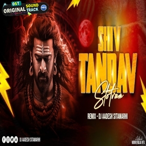 Shiv Tandav Stotram - Har Har Shiv Shankar - Dj Aadesh