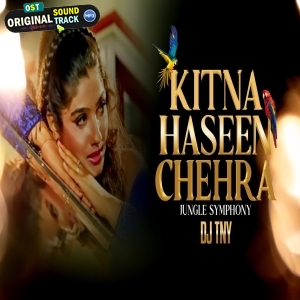 Kitna Haseen Chehra (Jungle Symphony) - Dj TNY Remix