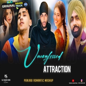 Feel The Unconfessed - Attraction - Punjabi Mashup DJ Rash King